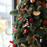 2025 聖誕樹預訂 | Christmas Tree Pre-Order