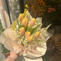 Tulips Lover