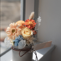 Preserved Flower Pot - Medium
