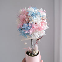 Preserved flower tree - Mini