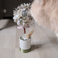 Preserved flower tree - Mini