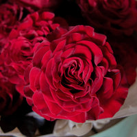 Red Rose Bouquet