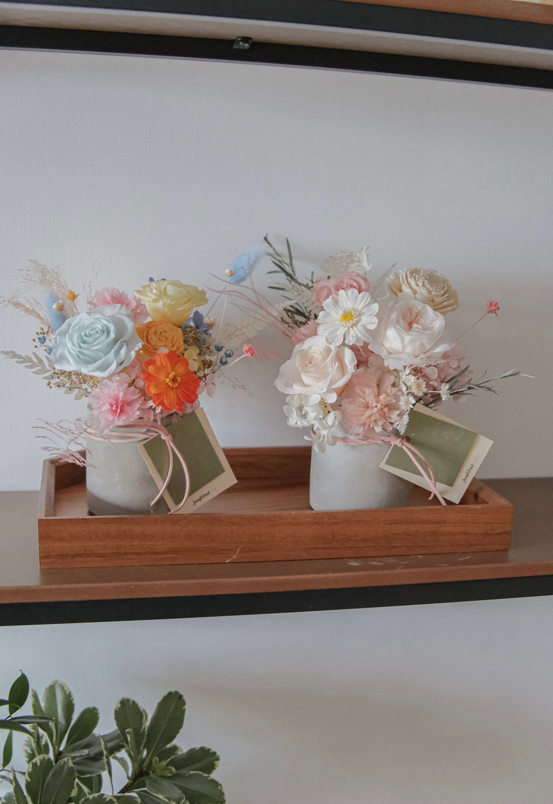 Preserved Flower Pot - Medium