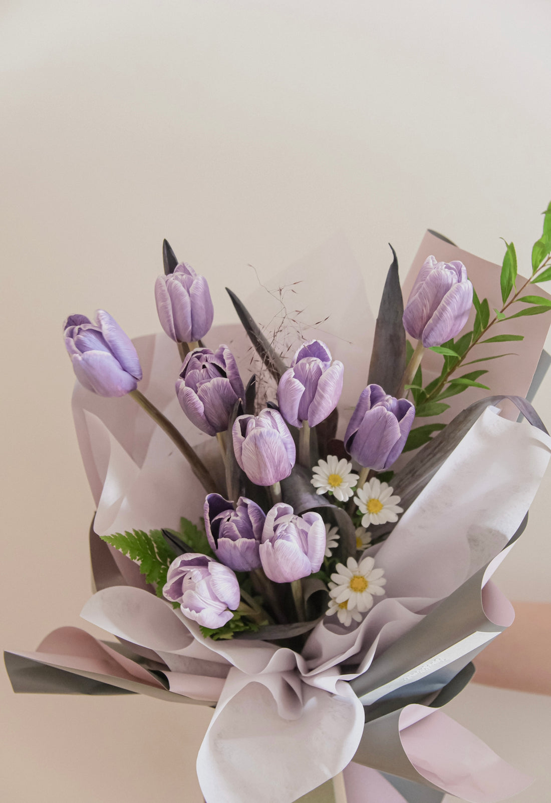 Tulips Lover