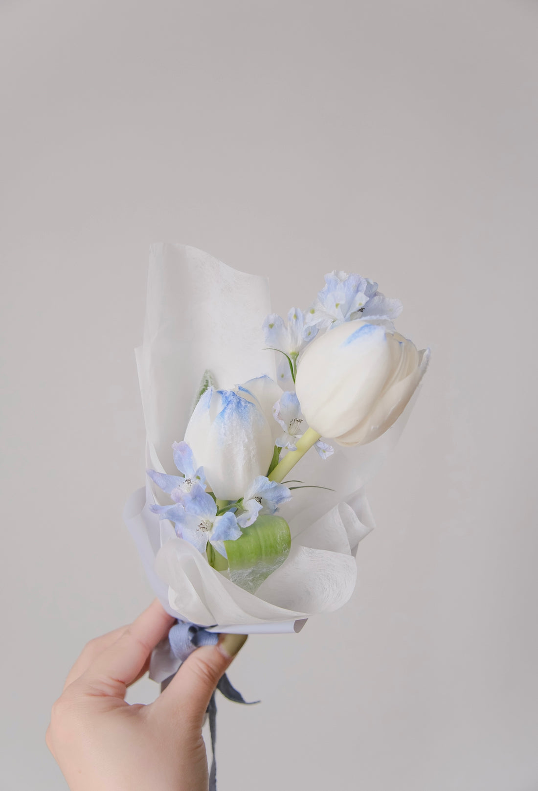 Tulips Lover