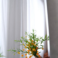 日本小宮燈 Sandersonia 預訂