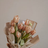 Tulips Lover