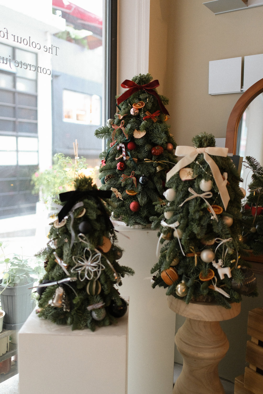 2025 聖誕樹預訂 ｜ Christmas Tree Pre-Order