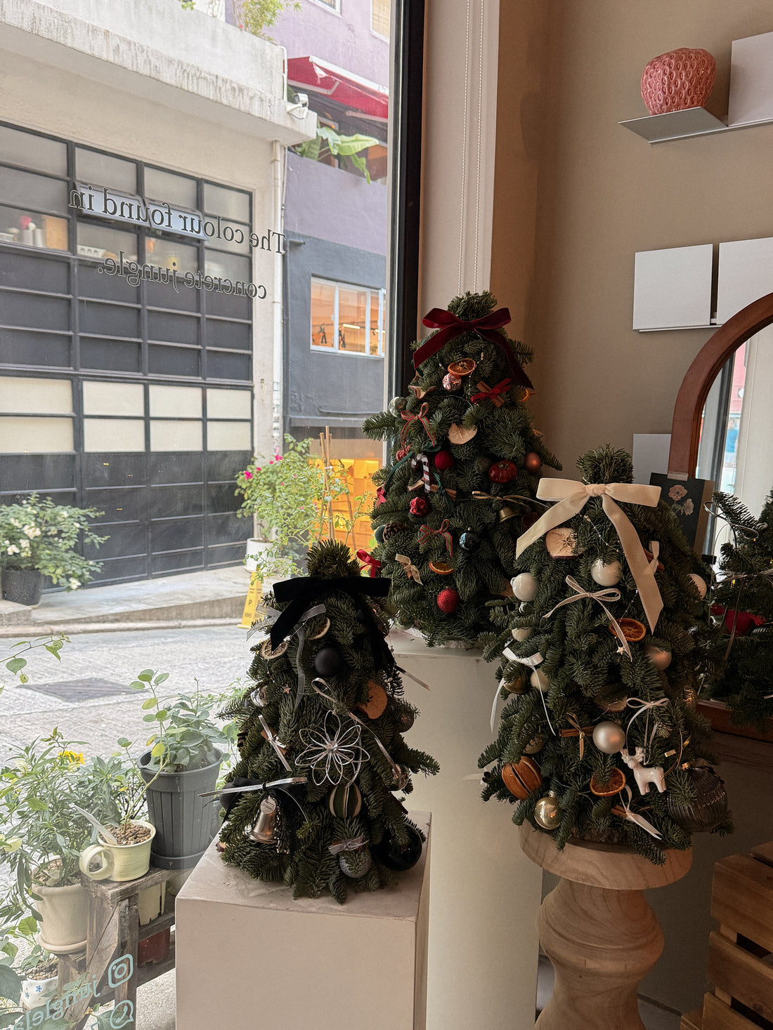 2025 聖誕樹預訂 ｜ Christmas Tree Pre-Order