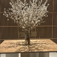 日本啓翁櫻 預訂