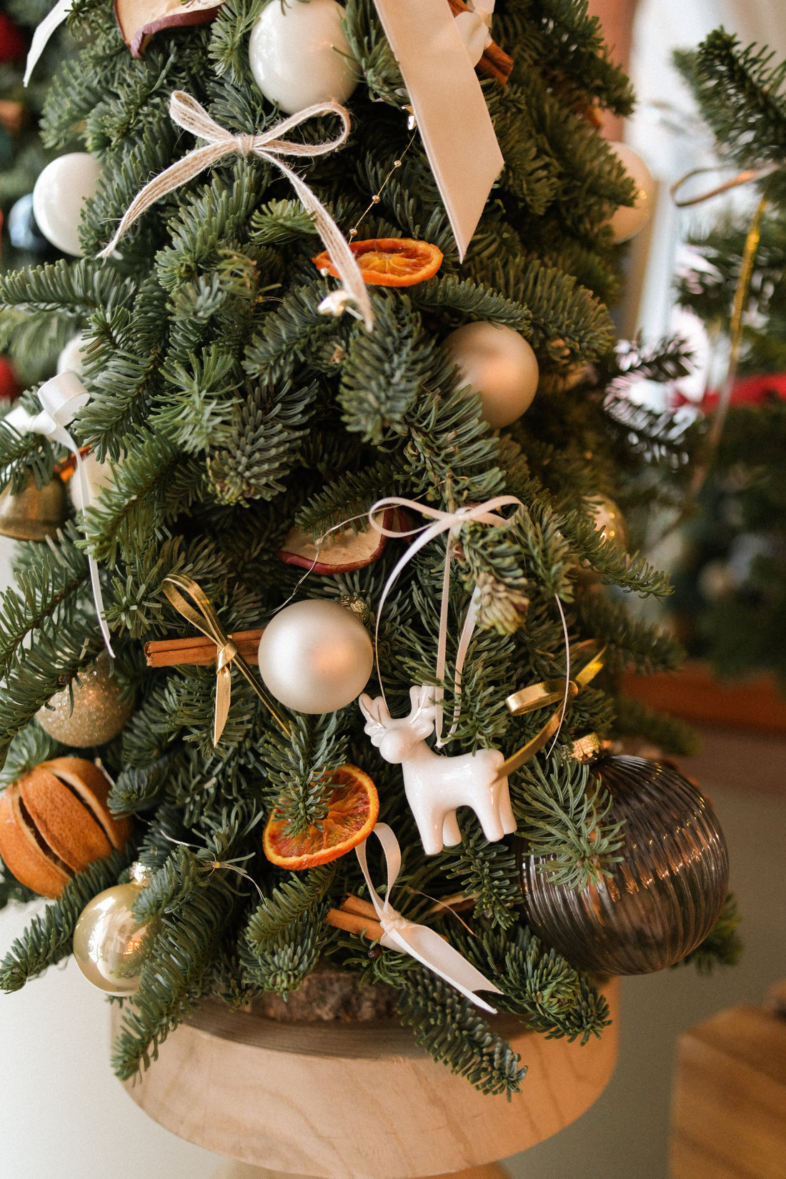 2025 聖誕樹預訂 ｜ Christmas Tree Pre-Order