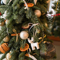 2025 聖誕樹預訂 ｜ Christmas Tree Pre-Order