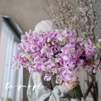 日本豌豆花 Sweetpea 預訂