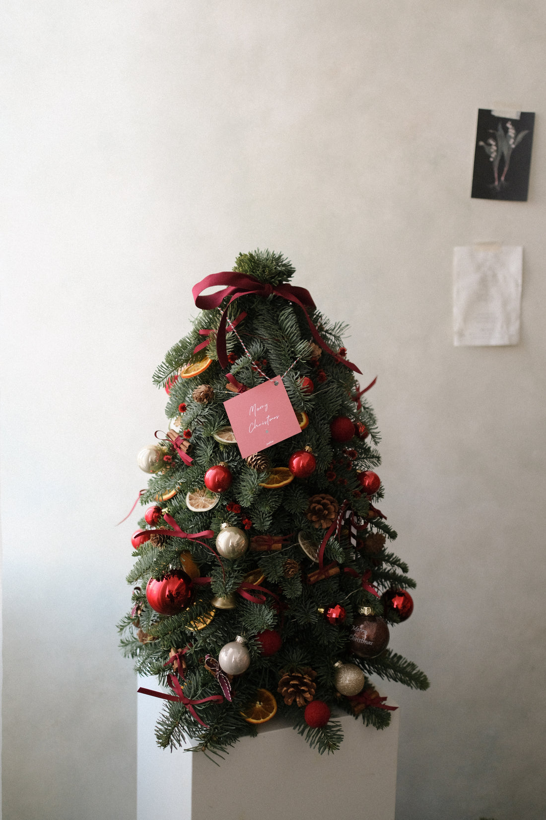 2025 聖誕樹預訂 ｜ Christmas Tree Pre-Order