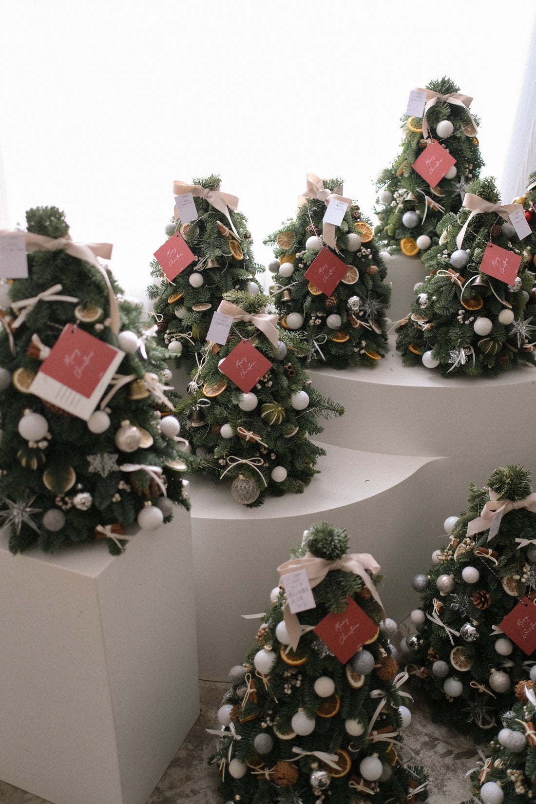 2025 聖誕樹預訂 ｜ Christmas Tree Pre-Order