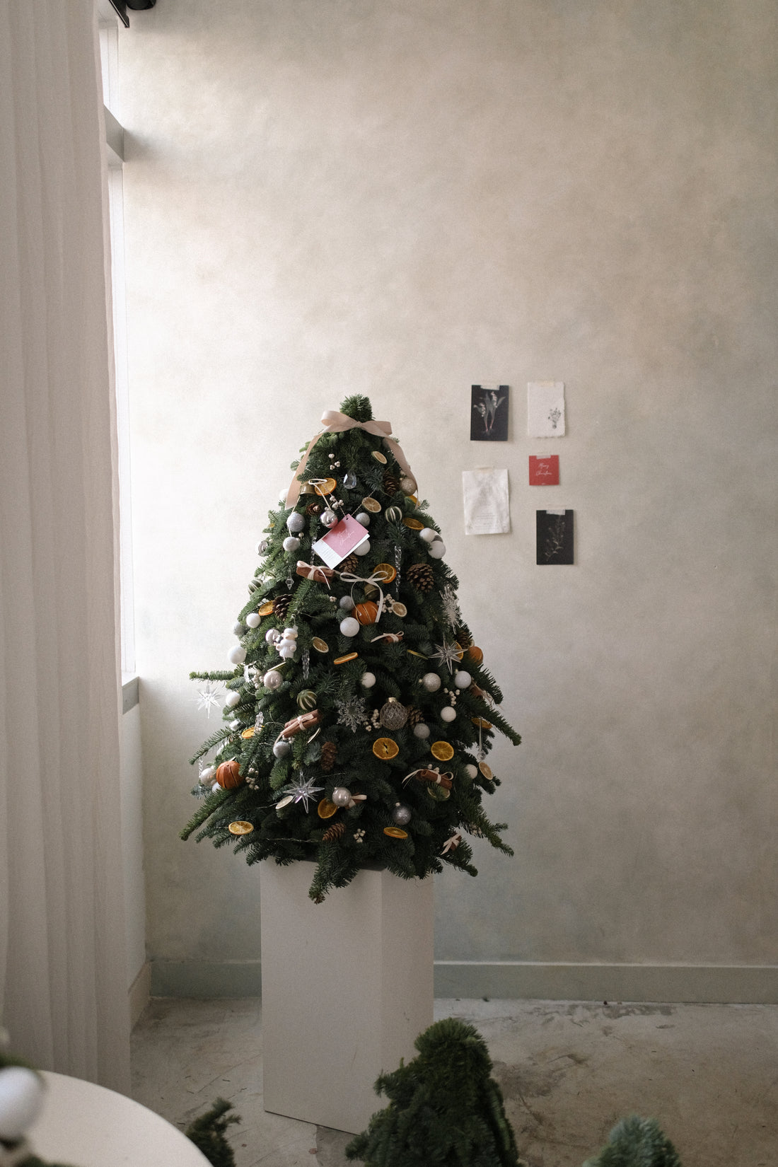 2025 聖誕樹預訂 ｜ Christmas Tree Pre-Order