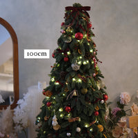 2024  聖誕樹預訂 ｜ Christmas Tree Pre-Order