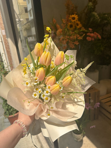 Tulips Lover