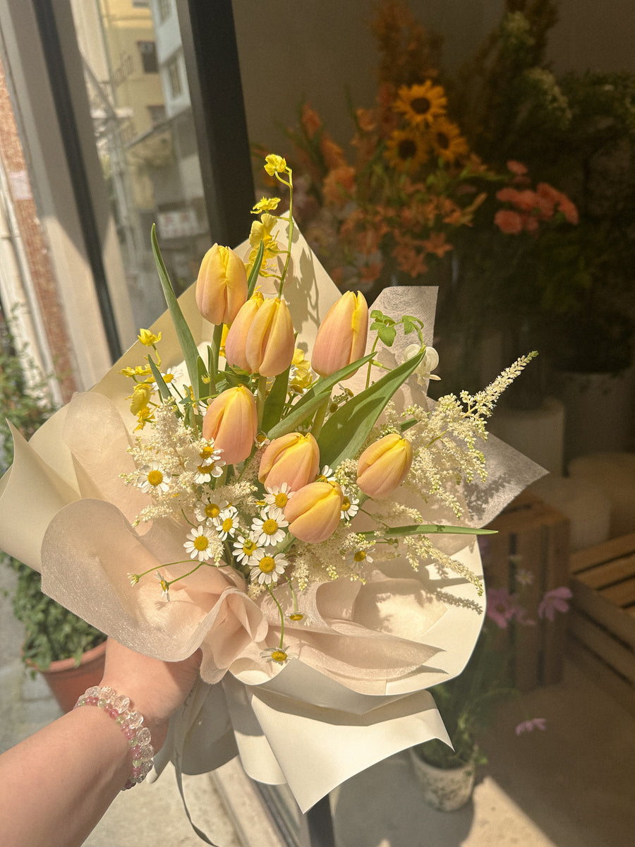 Tulips Lover