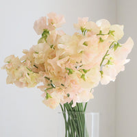 日本豌豆花 Sweetpea 預訂