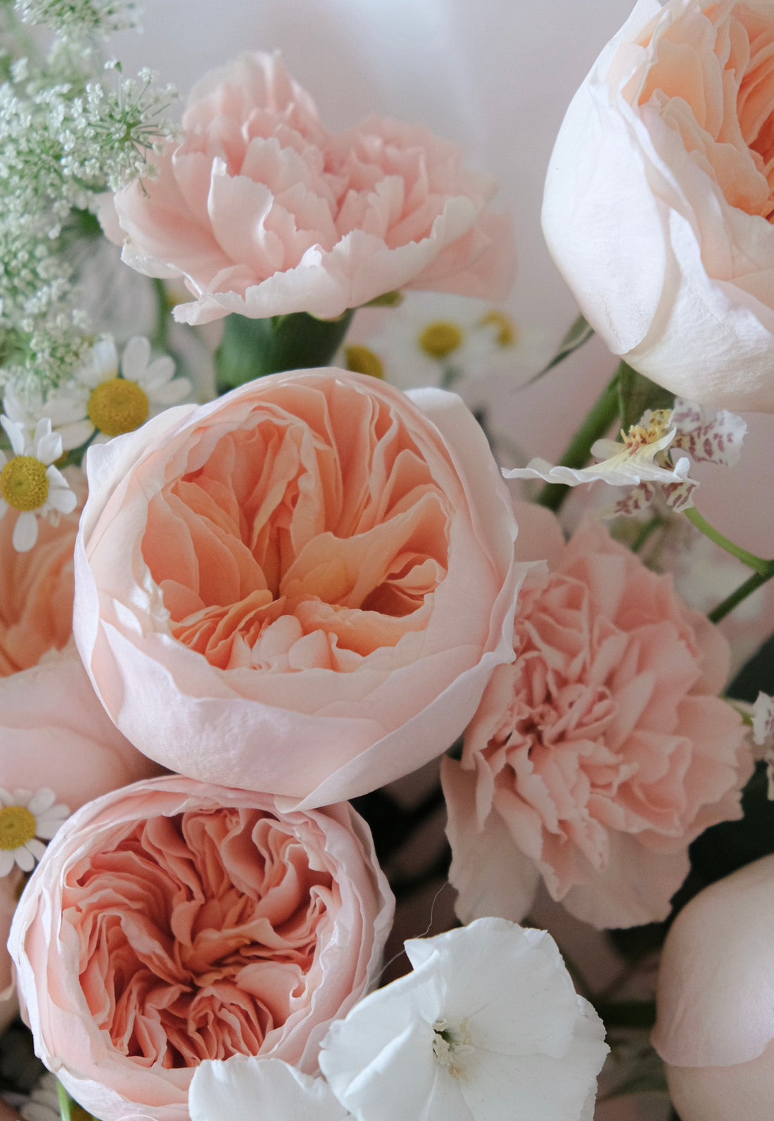 Garden rose bouquet (庭園玫瑰)