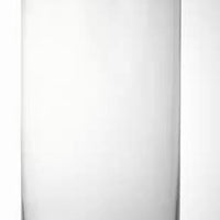 (貓咪友好) 荷蘭玉蘭 Magnolia